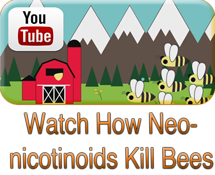 How-Neonicotinoids-Kill-Bees-6